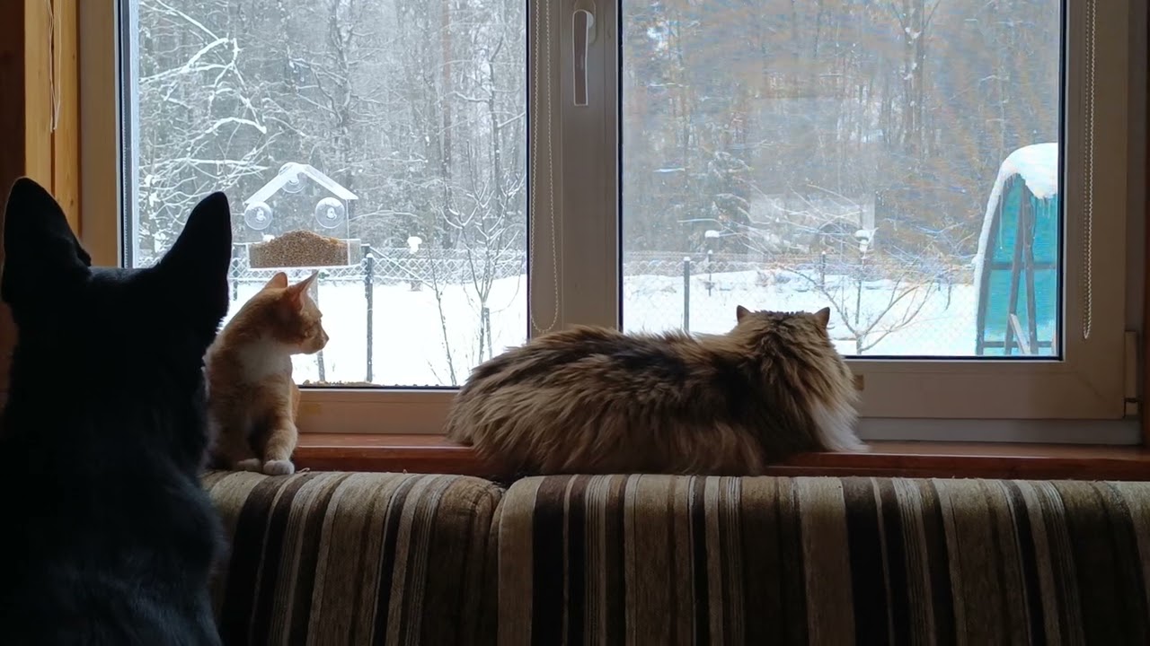 Трое