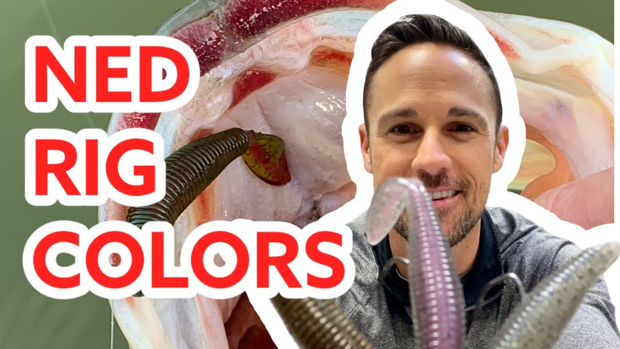 NED RIG COLORS
