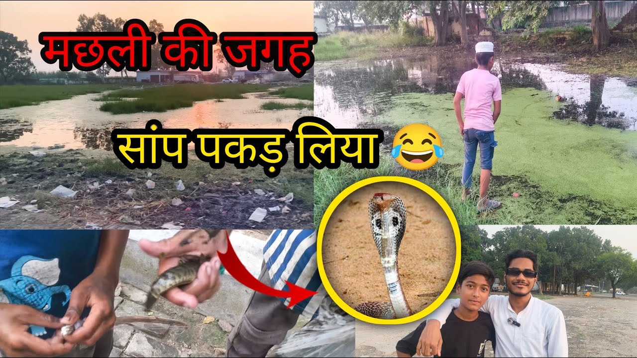 मछली की जगह सांप पकड़ लिया भाई 😂|सस्ते मछुआरे 😜