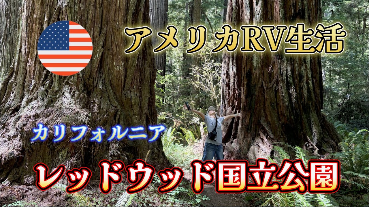 036【アメリカ】レッドウッド国立公園　#アメリカ #旅 #rv #rvliving #rvtravels 