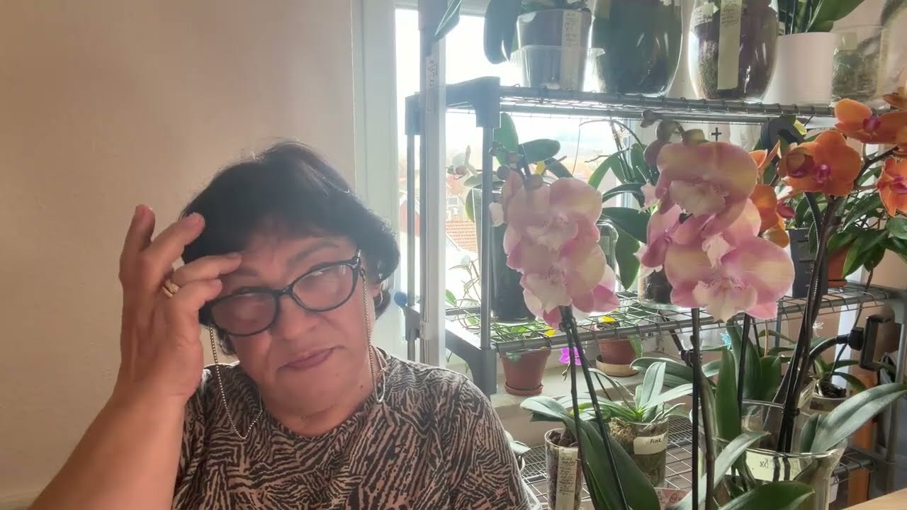 ВИЗИТ К ВРАЧУ ЗАКОНЧИЛСЯ ДЛЯ МЕНЯ КАТАСТРОФОЙ 😢 / НОВЫЕ РЕАЛИИ НА КУРСАХ