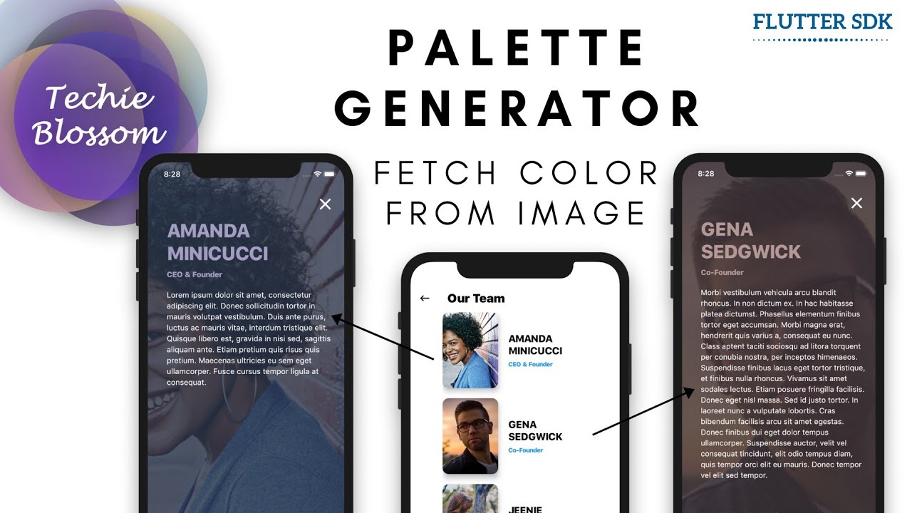 Palette Generator Implementation | Flutter SDK
