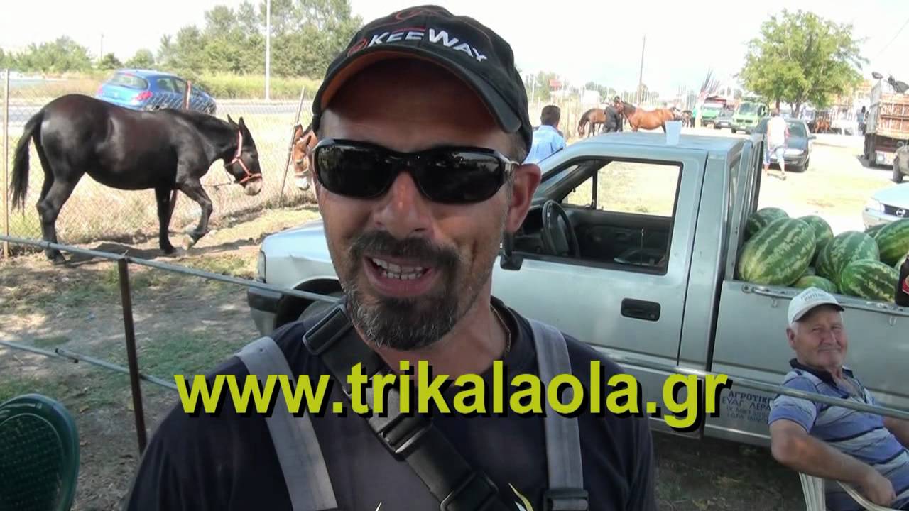 Τρίκαλα ζωοπάζαρο ζωοπανήγυρη γαϊδούρια άλογα 13-9-12