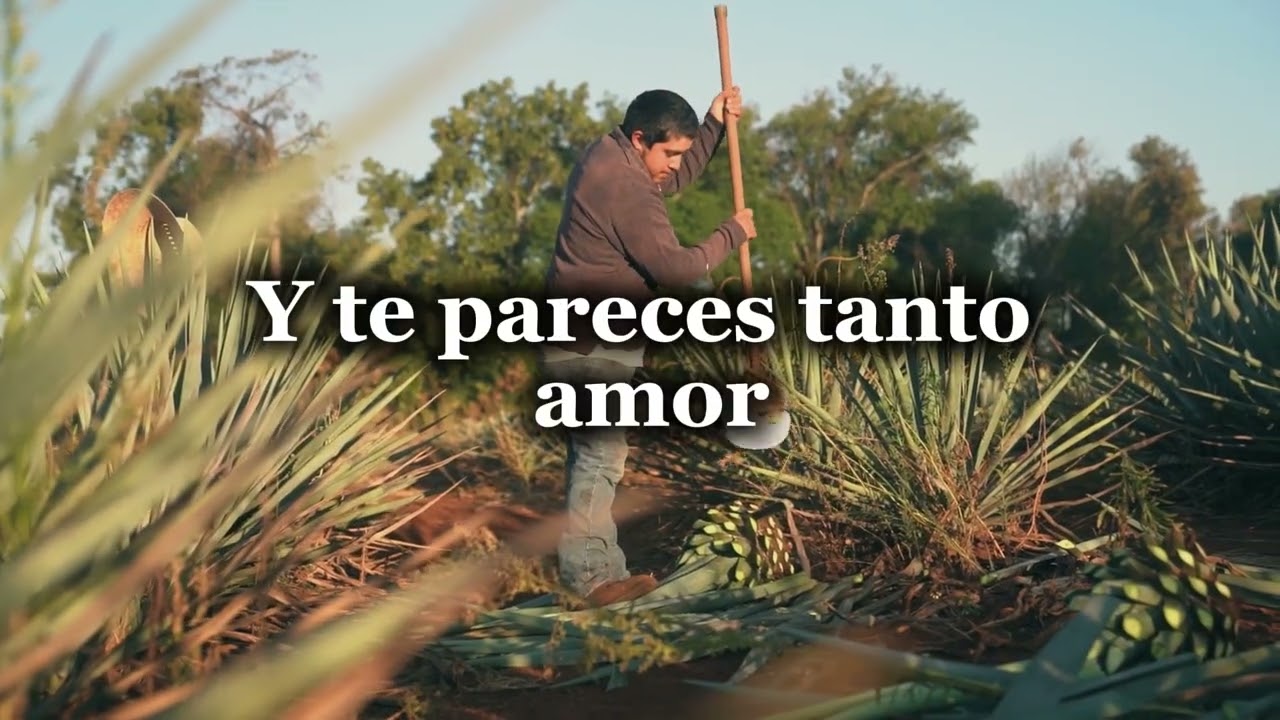 La planta( Caos) Letra