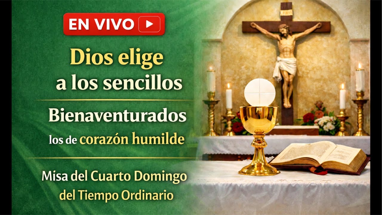 La felicidad según Jesús/ Domingo IV del T. Ordinario