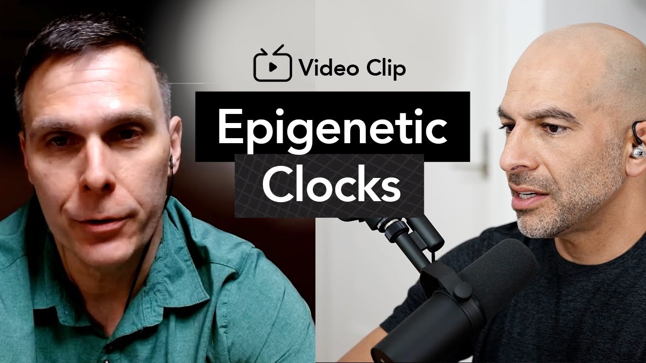What are epigenetic clocks and do they work? | Peter Attia, M.D. & Matt Kaeberlein, Ph.D.