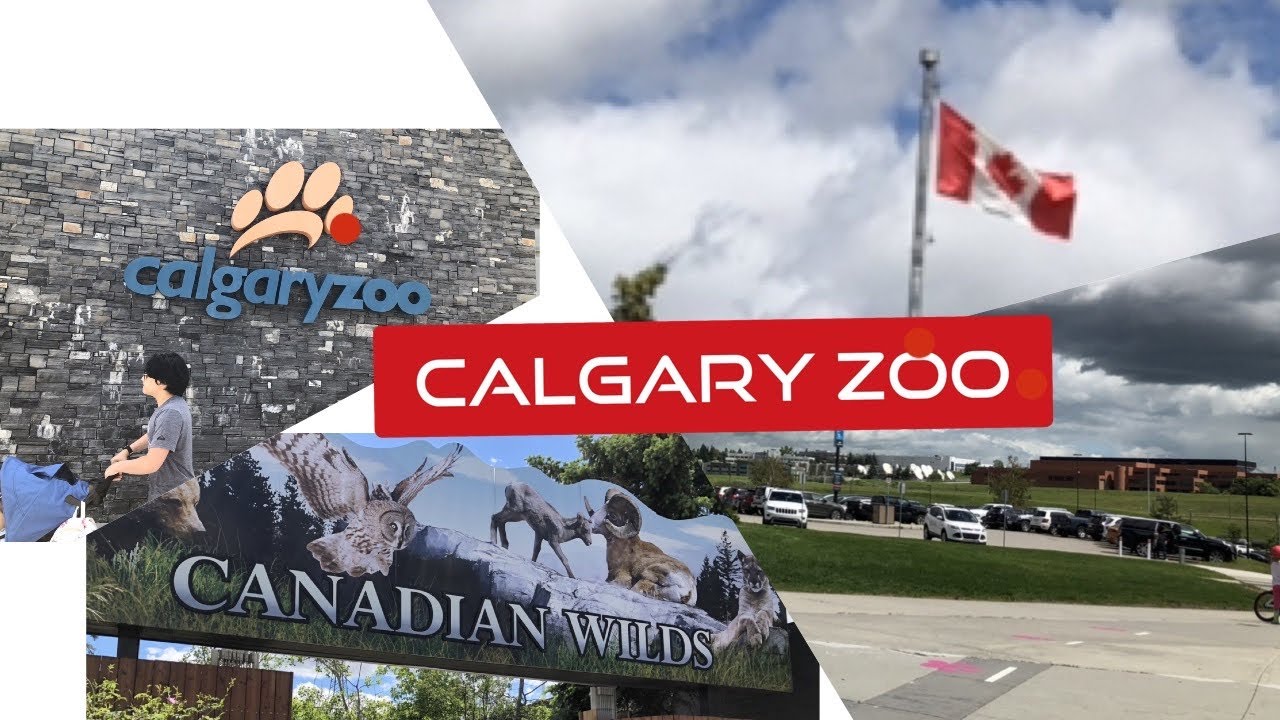 Calgary Zoo || Happy Canada Day