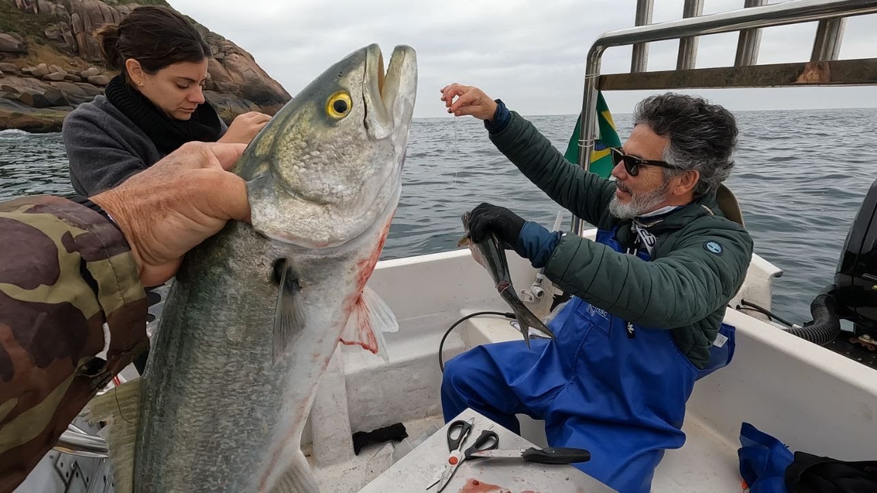 PESCARIA DE ANCHOVA, IKEJIME NO MAR - Almoço no Ostradamus