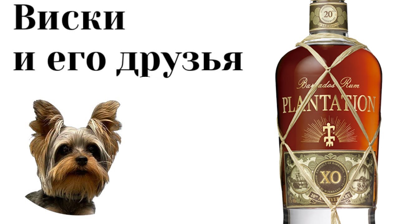 дегустация Plantation XO