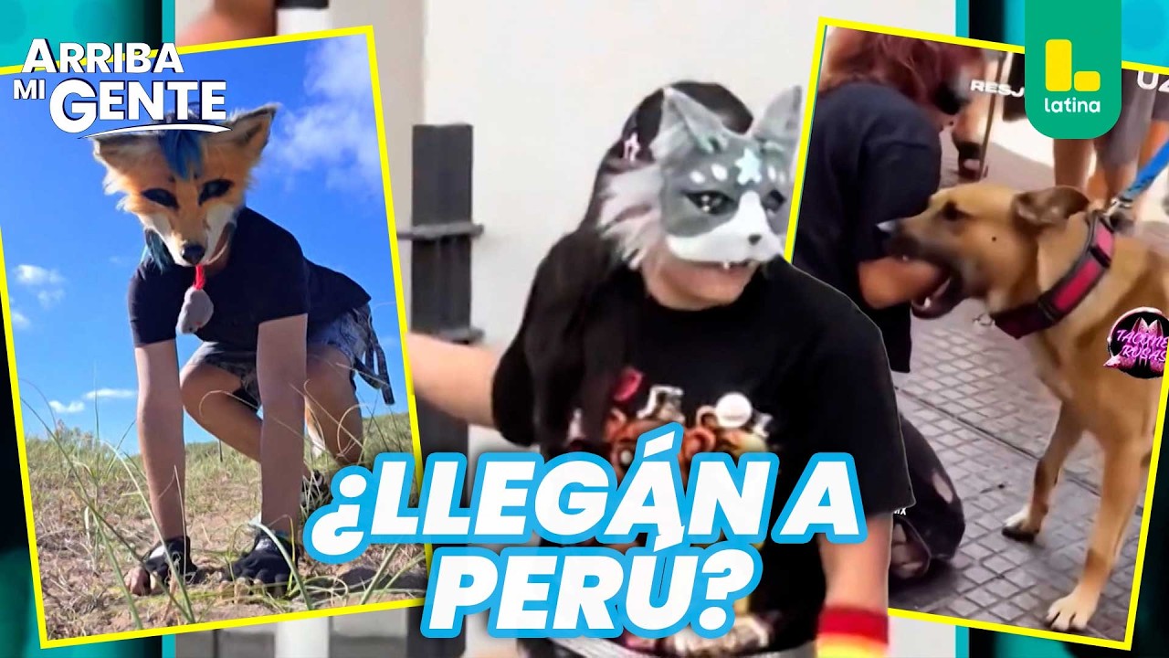 ¡