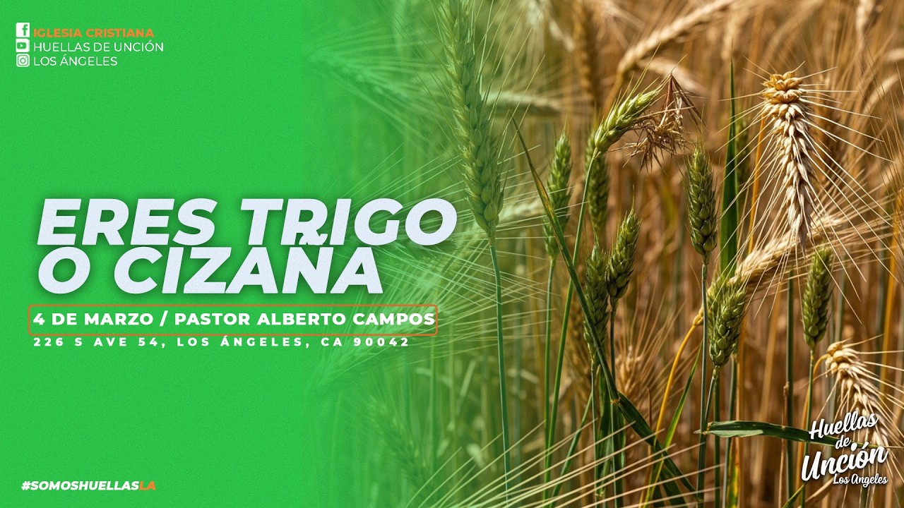 🔴ERES TRIGO O CIZAÑA🔴 Pastor Alberto Campos | 6:30PM | Miercoles 4 de Marzo de 2026