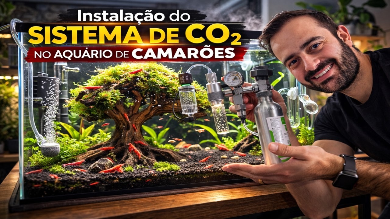 018 | Instalação do Sistema de CO₂ no Aquário de Camarões | Passo a Passo