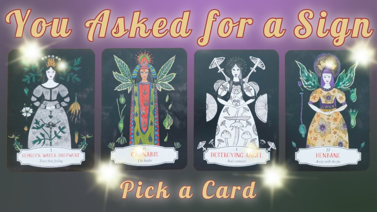 Important Message for Clarity and Guidance 🌈🗝️💡🦄 Tarot Reading & Affirmations
