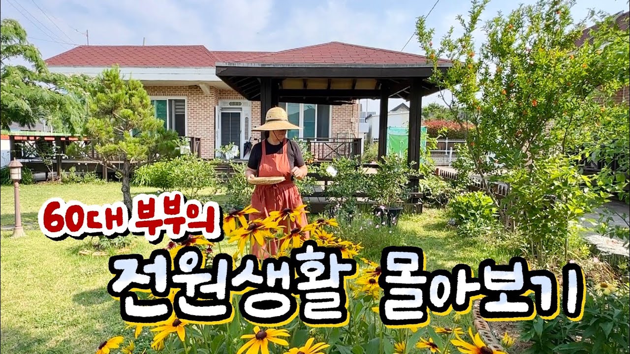 유럽 여행 후 그동안 일상을 모아봤습니다 [영덕] 😊🌱