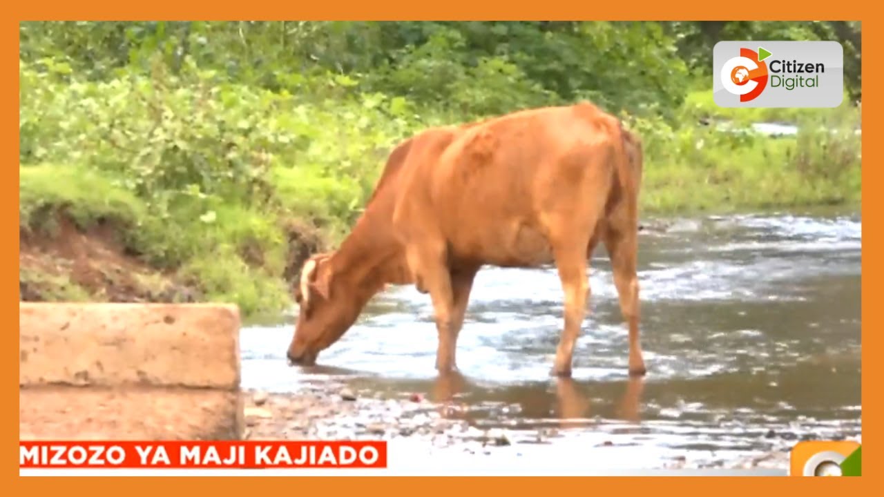 Walio na mashamba na wafugaji wazozania maji ya mto Kajiado
