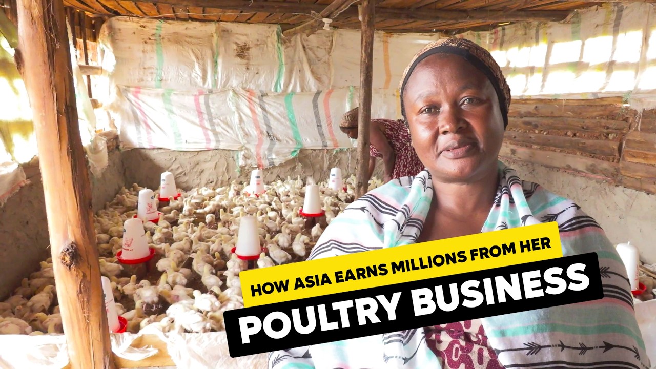 FROM 2 CHICKENS TO OVER 500! 🤯 How This Woman Built a Poultry Empire in Kampala's Bwaise.