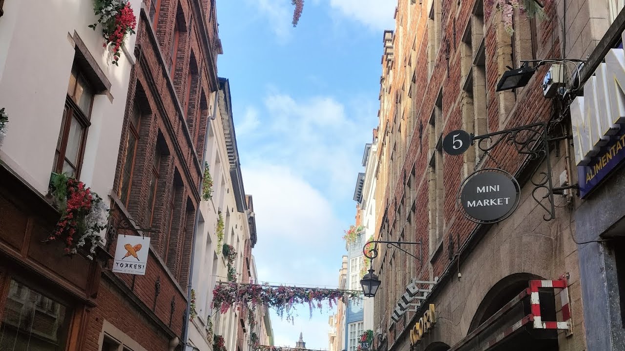 VLOG à BRÜSSEL🇧🇪