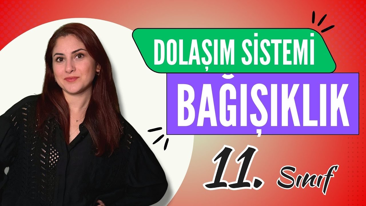 22) BAĞIŞIKLIK SİSTEMİ | 11. SINIF | AYT BİYOLOJİ DERS NOTLARI 2024