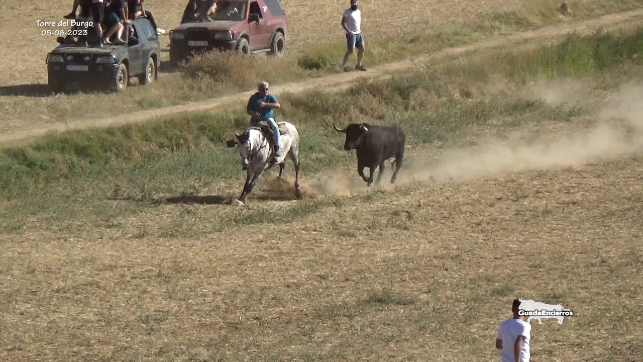 Cuidado con el caballo Torre del Burgo 05-08-2023 GuadaEncierros