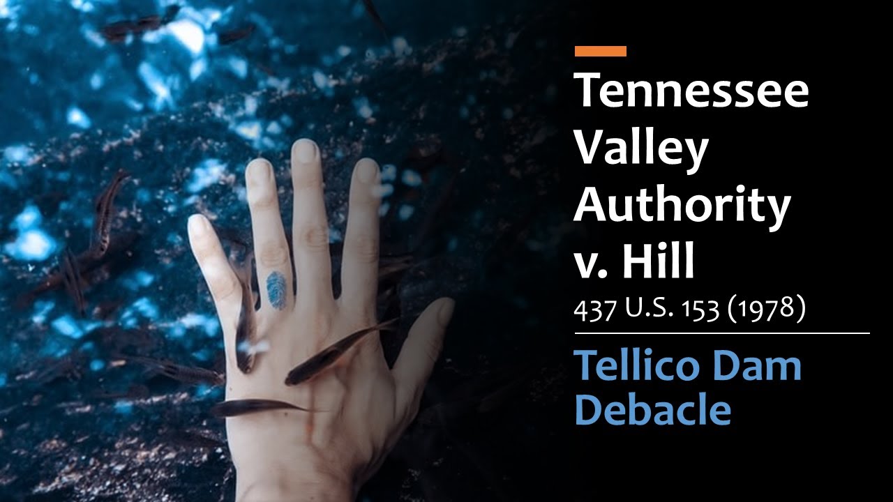 Tennessee Valley Authority v. Hill - The Tellico Dam Debacle
