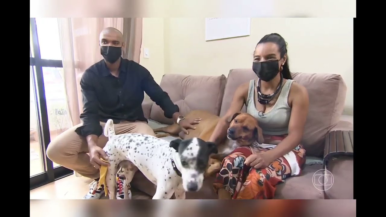 Pequenas Empresas Grandes Neg&oacute;cios - Produtos Pets - Madiba Pet