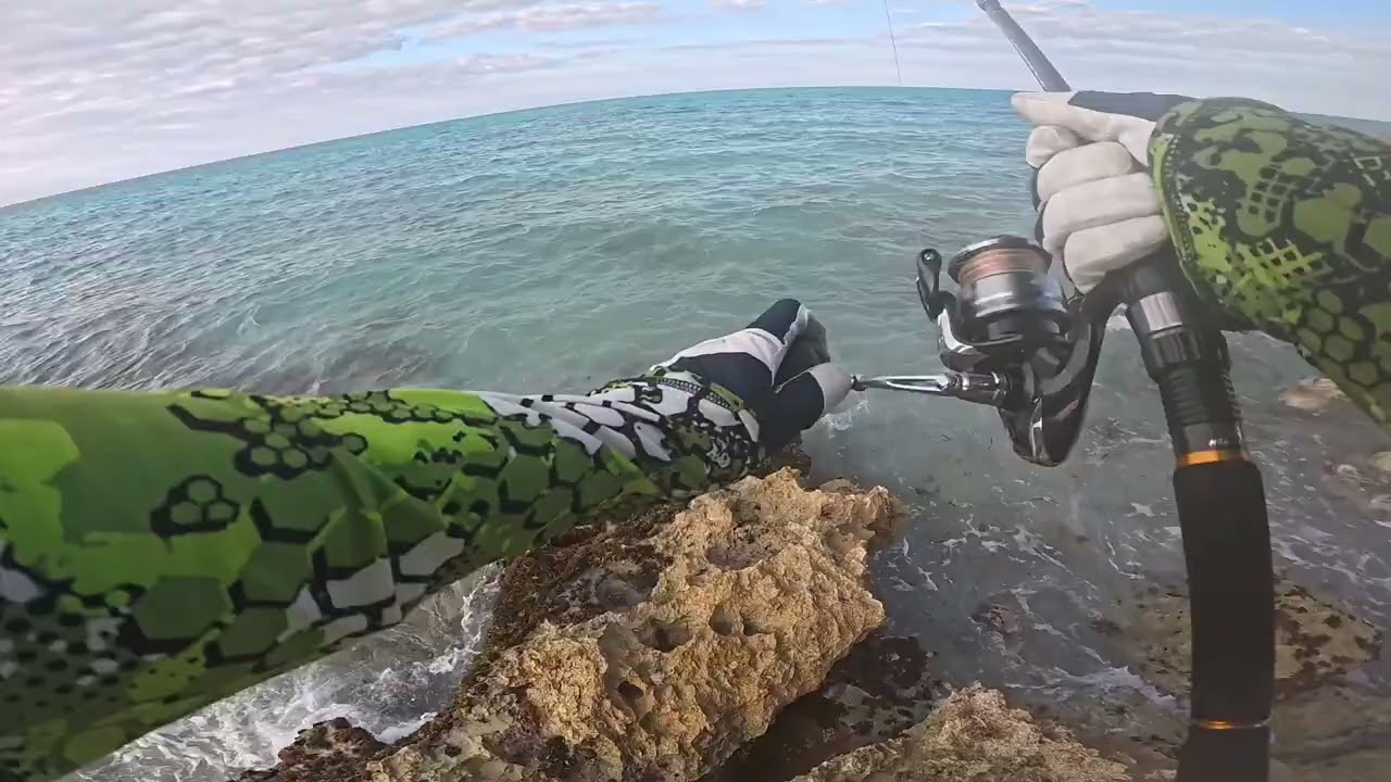 Snook (Robalo) from Shore - Cuba, Varadero beach 11.02.2024 