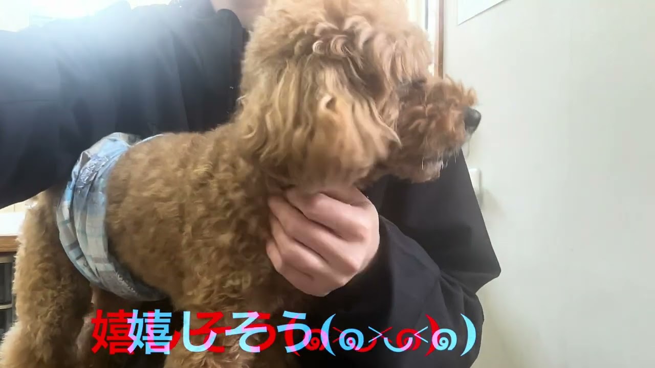 ムックくん！