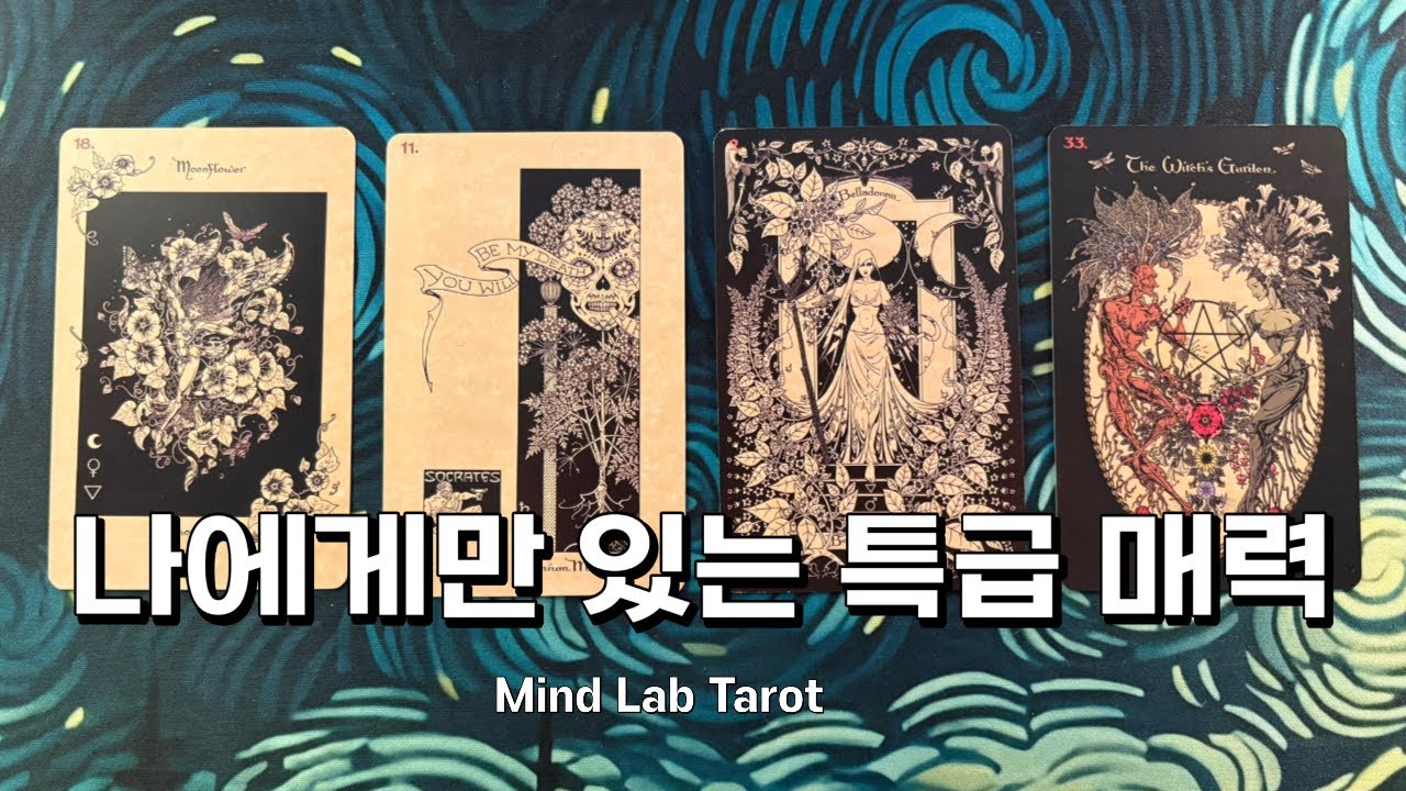 타고난 나의 아우라, 사람들이 질투하는 이유? 타로 리딩
