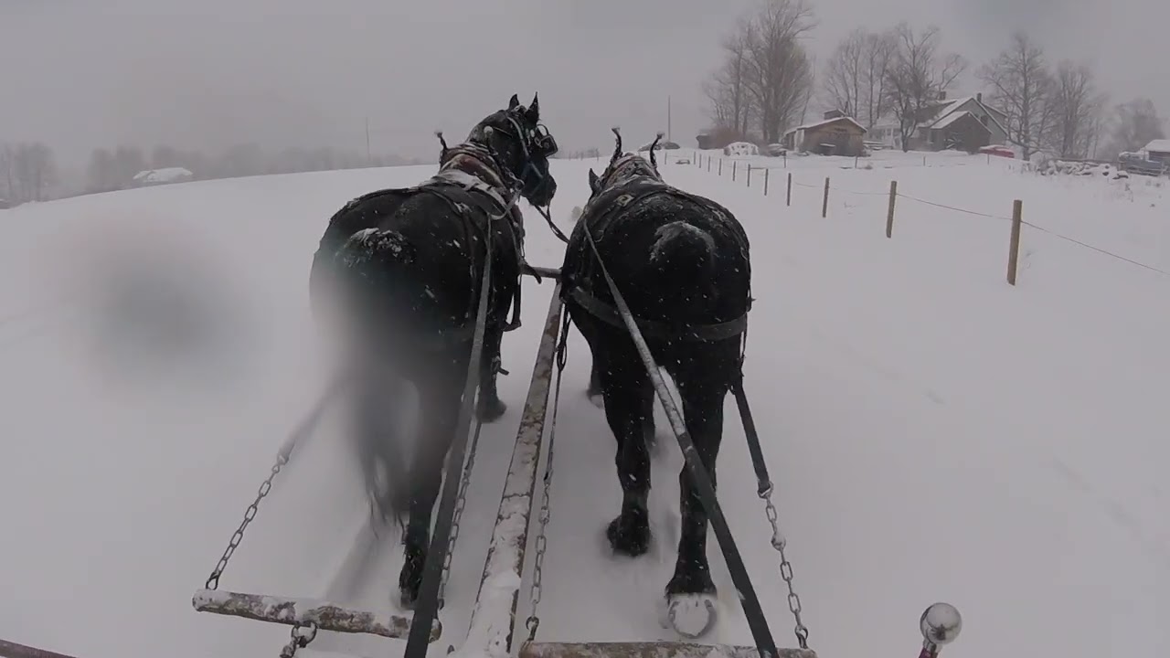 POV: NH Sleigh Ride January 7th, 2024