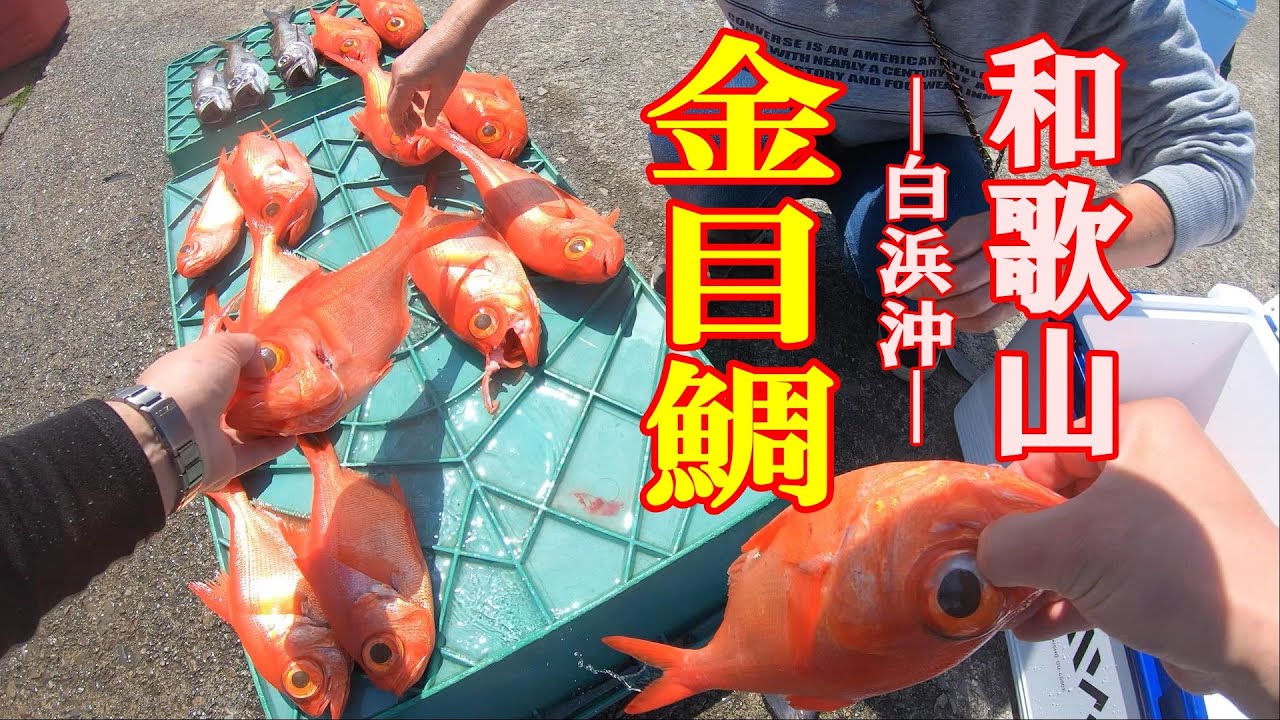 《和歌山・貴丸》関西人の金目鯛釣り場　＝和歌山県　白浜沖＝2021 4 11 ・海凰丸　金目鯛釣り編