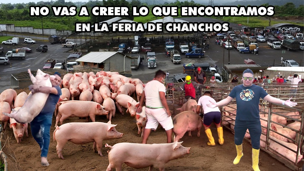LA FERIA DE CHANCHOS: UN EVENTO UNICO EN SANTO DOMINGO I GEO LEMA