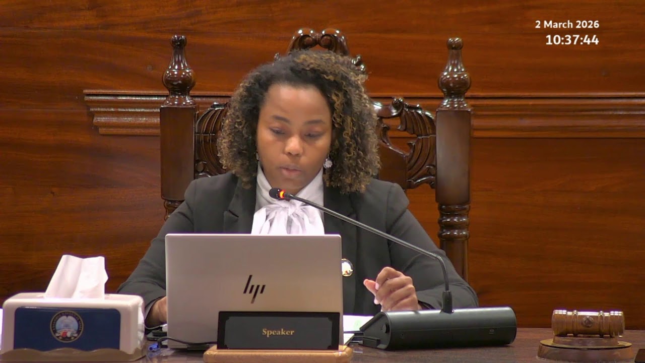 Budget 2026 Committee Stage - Sitting Monday 2 March 2026 Part 1