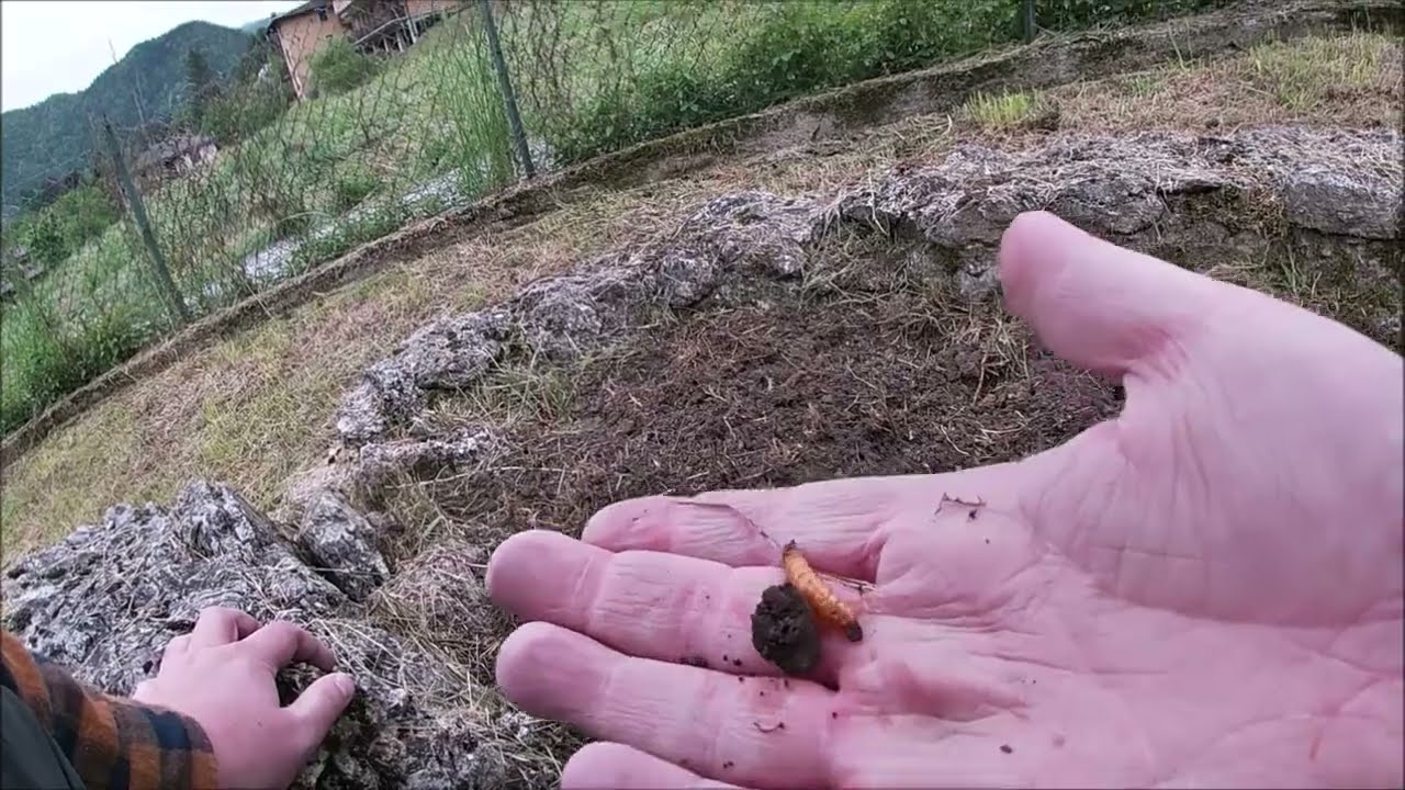 Ancora una BELLA PESCATA a NINFA IN TORRENTE e realizziamo una aiuola di ERBE AROMATICHE!