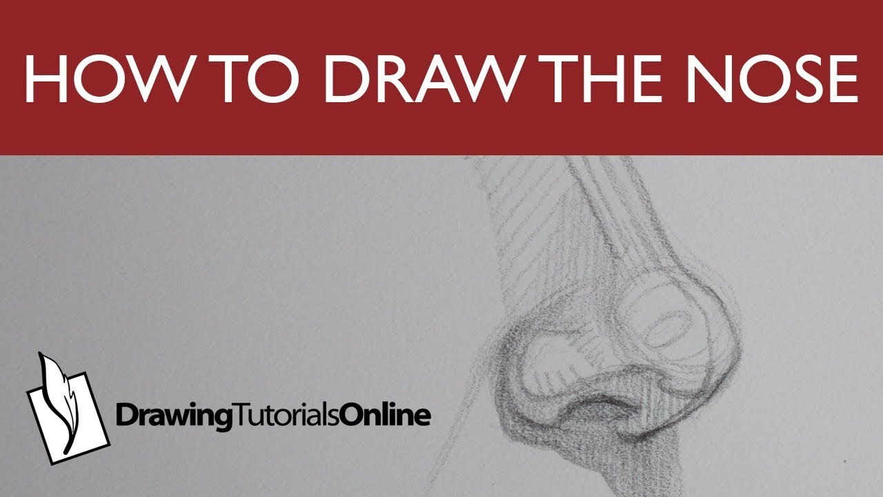 How To Draw The Structure Of The Nose