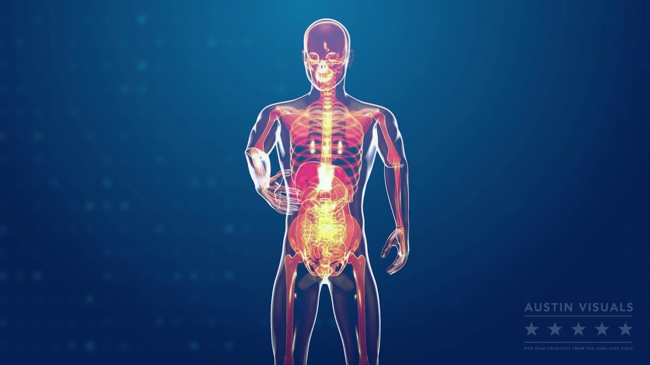 Love Your Liver Health Awareness Campaign Explainer Video - Video 5