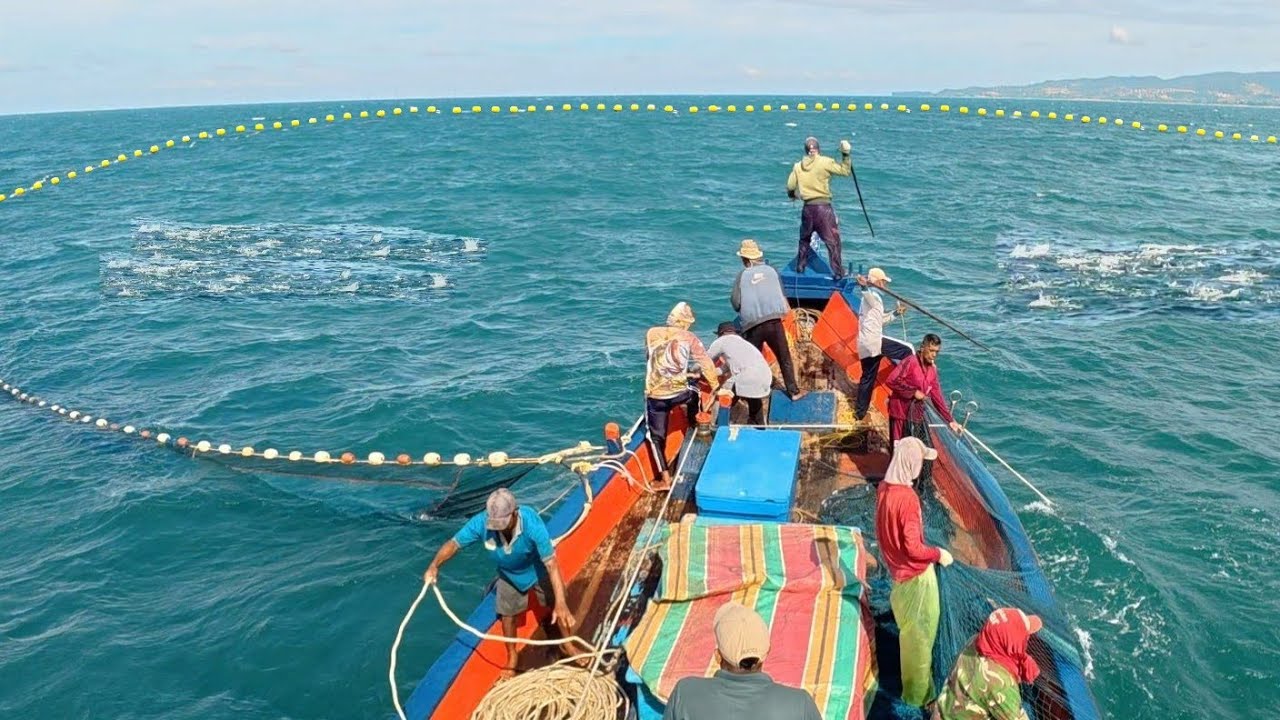 Pukat cincin, Nelayan Indonesia Dapat Banyak Ikan, luar biasa hasil tangkapan nelayan Indonesia