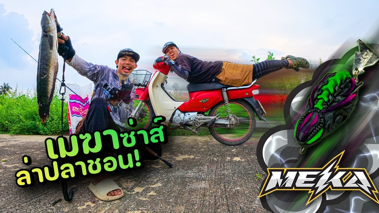 เมฆาซ่าส์ ล่าปลาช่อน เหยื่อใหม่ทรงอย่างซิ่ง