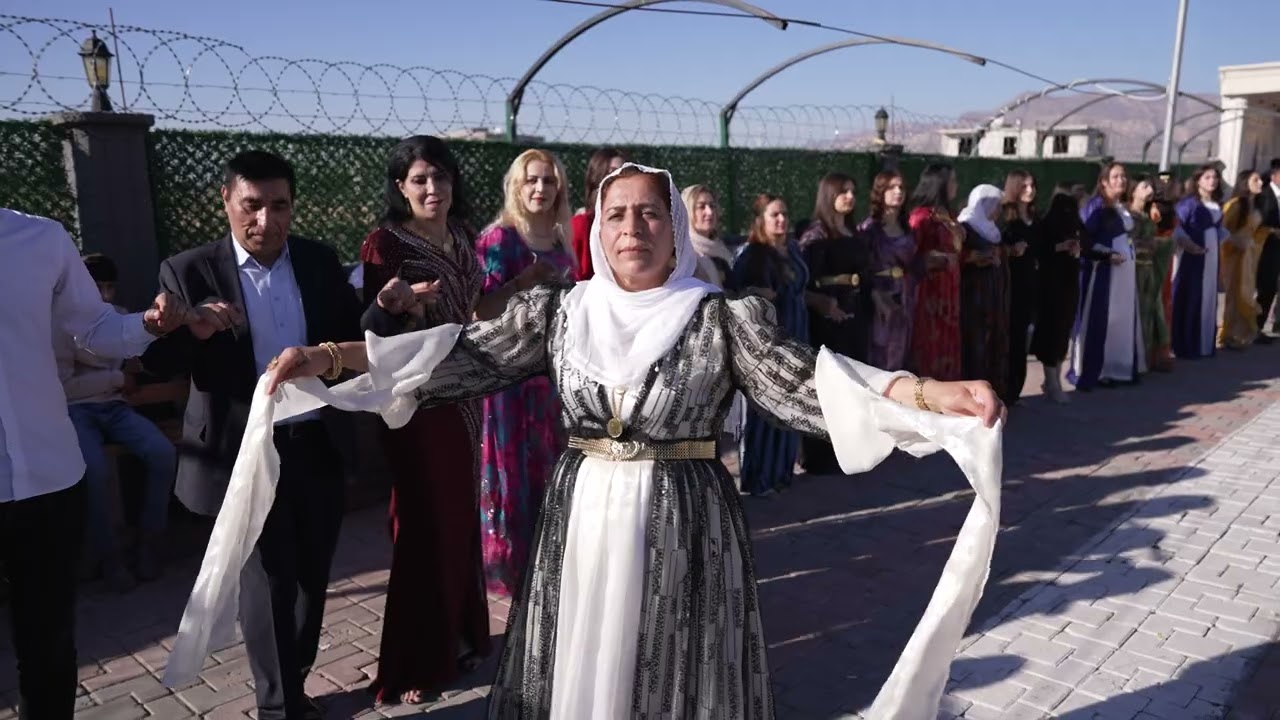 Sperti Aşireti Fatih Demir Dügünü Part2 ( Grup Hozan Azad Silopi ) 2024