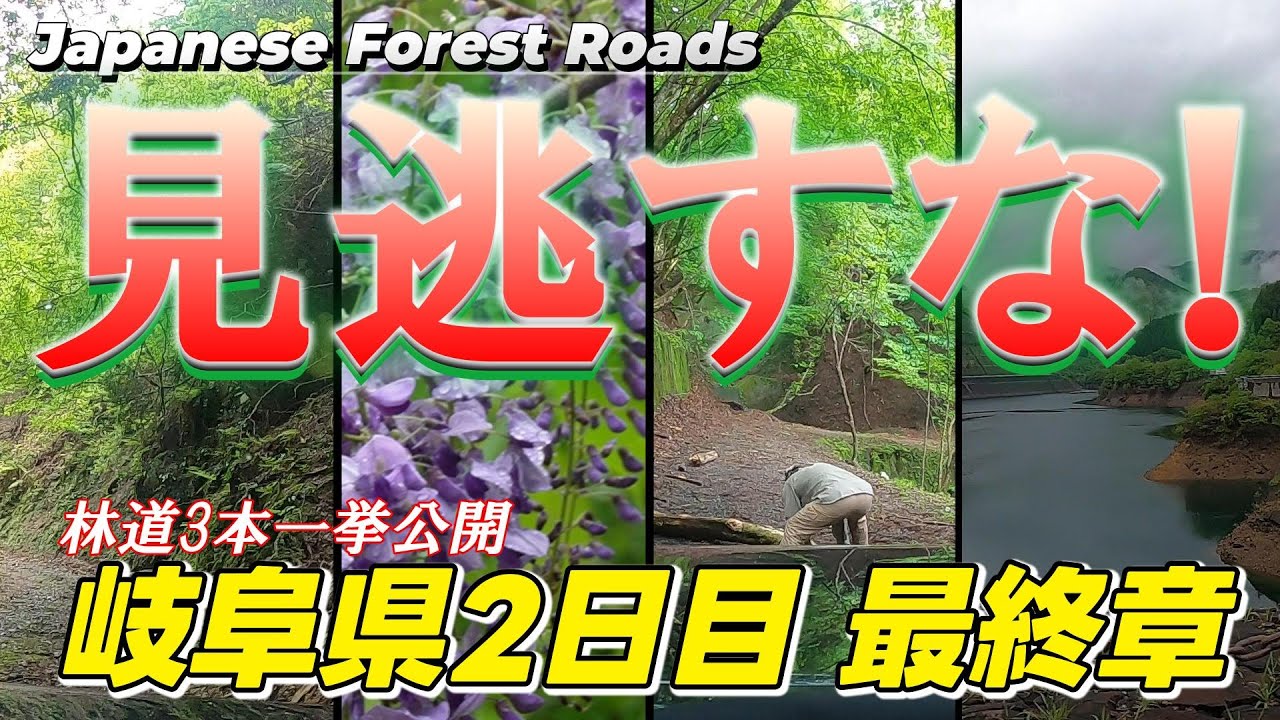 【岐阜県2日目最終章】見逃したらアカンで!林道3本一挙公開!岐阜県の自然を満喫して下さい!