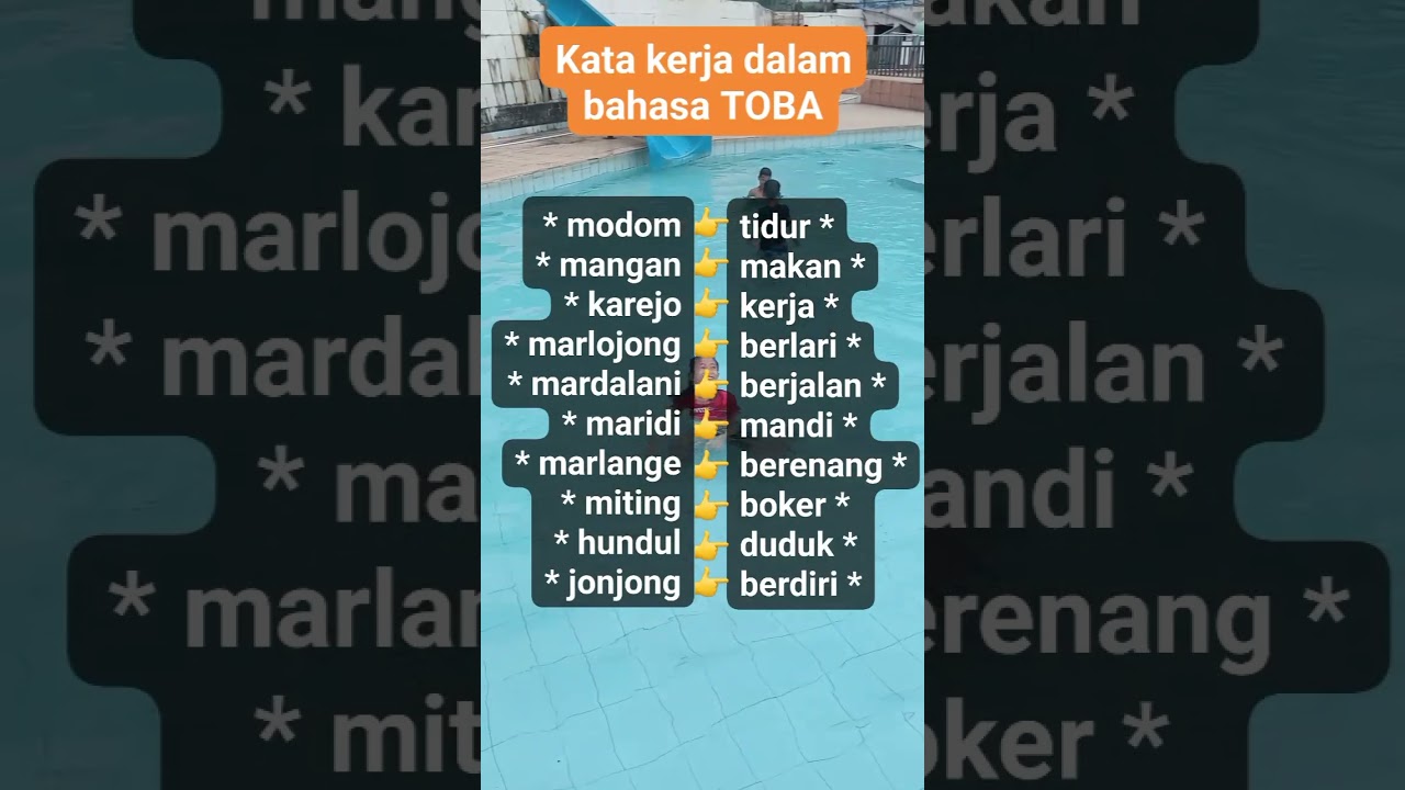 kata kerja dalam bahasa Toba 😎 #batak #bahasadaerah #bataktoba #shorts