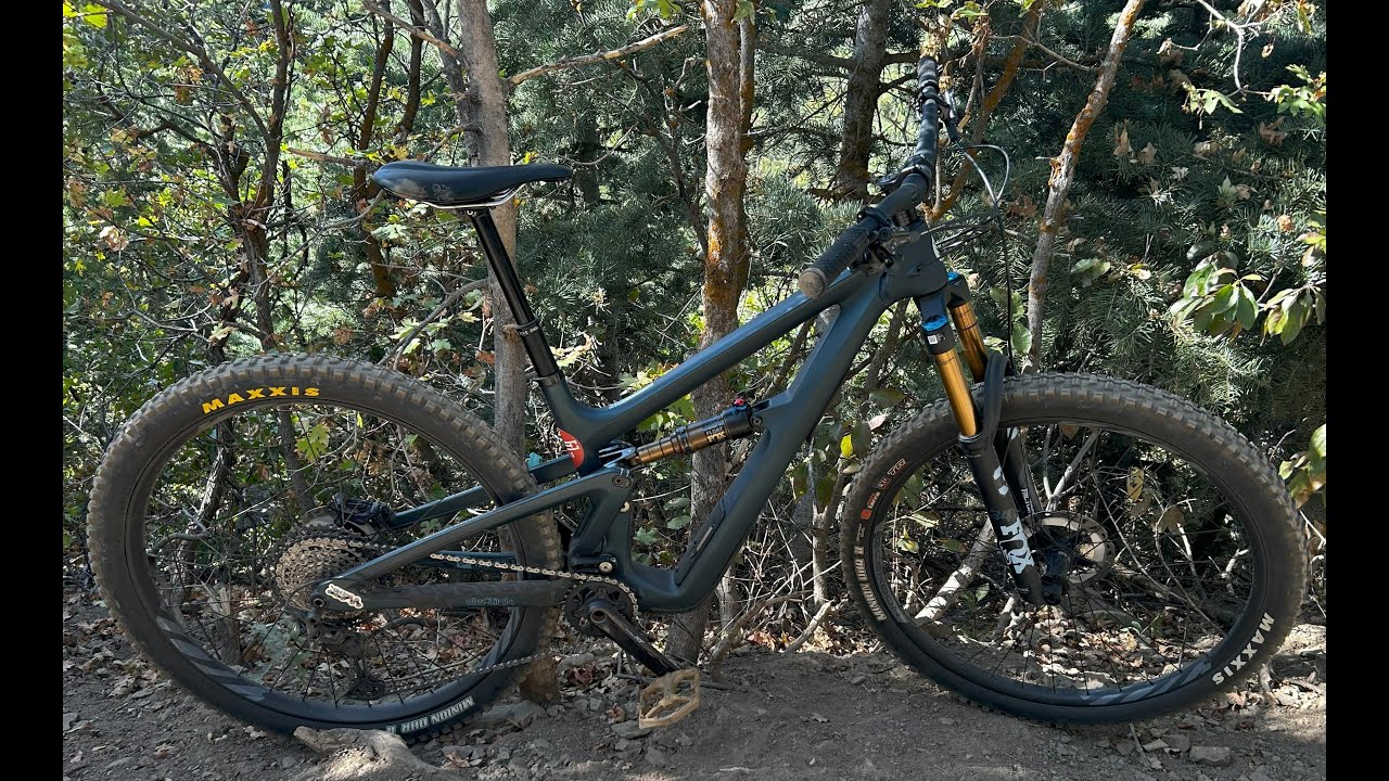 Ibis Ripley  Review Part 1