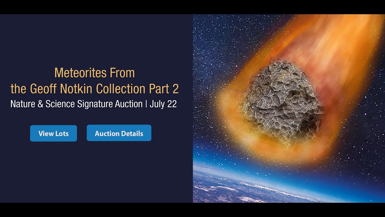 LIVE: Meteorites from the Geoff Notkin Collection Part 2 - Nature & Science Signature Auction 8116