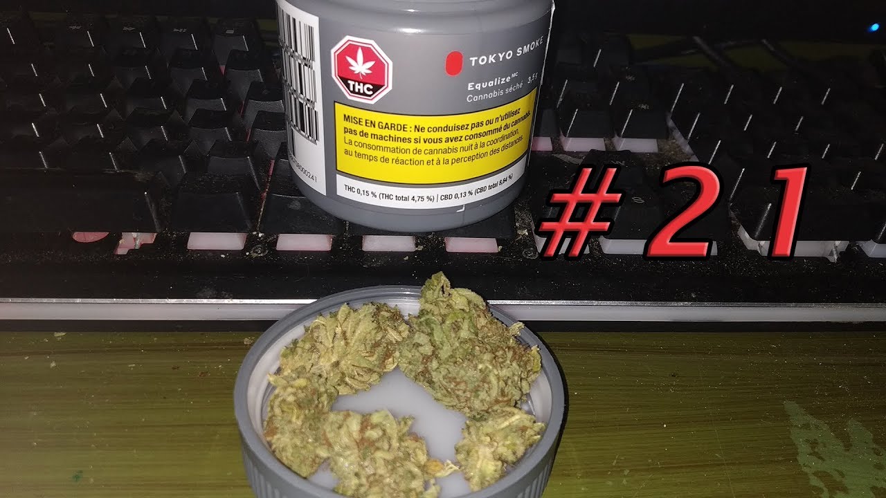 SQDC Weed Review #21 - Equalize de Tokyo Smoke