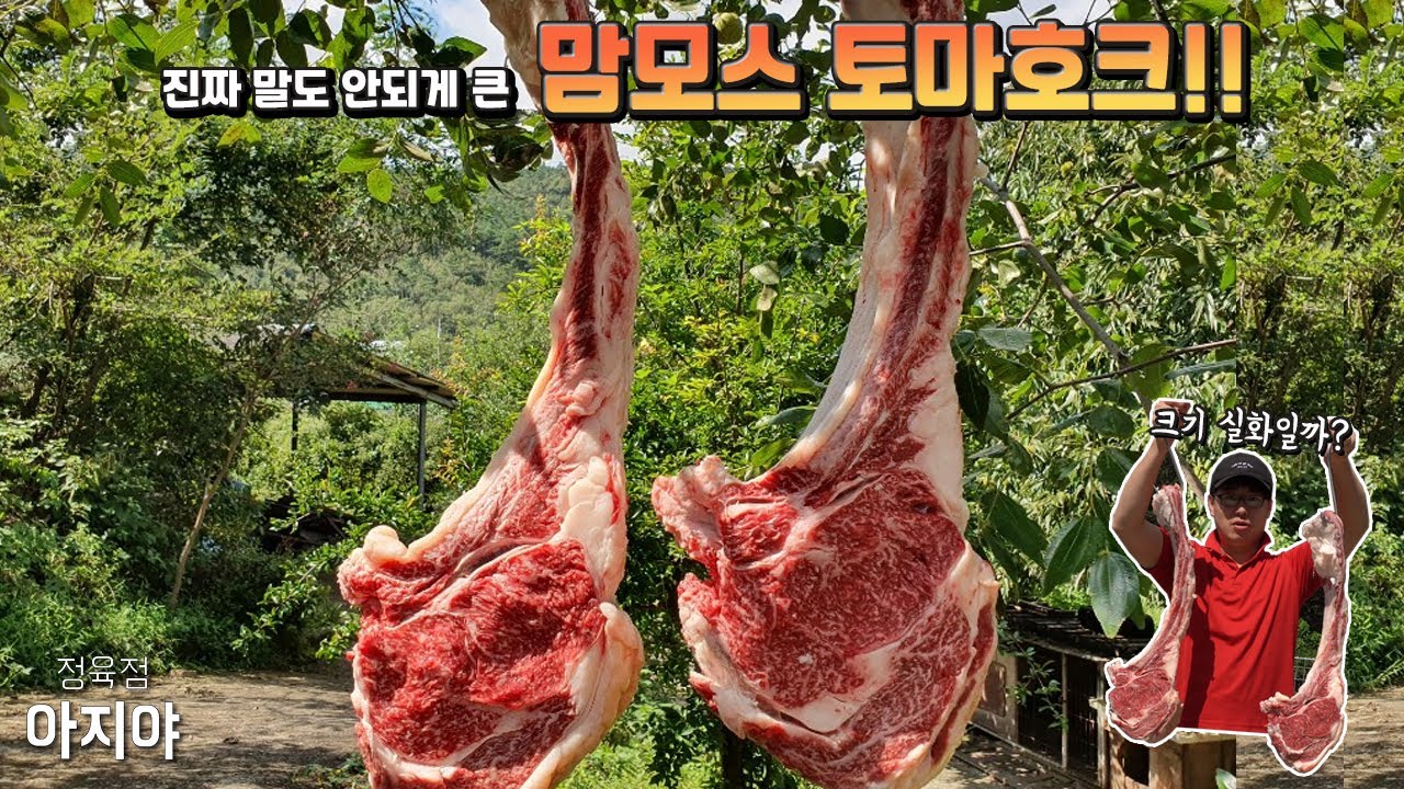유튭최초!역시 토마호크는 생으로 먹어야 제맛!!(직접발골)