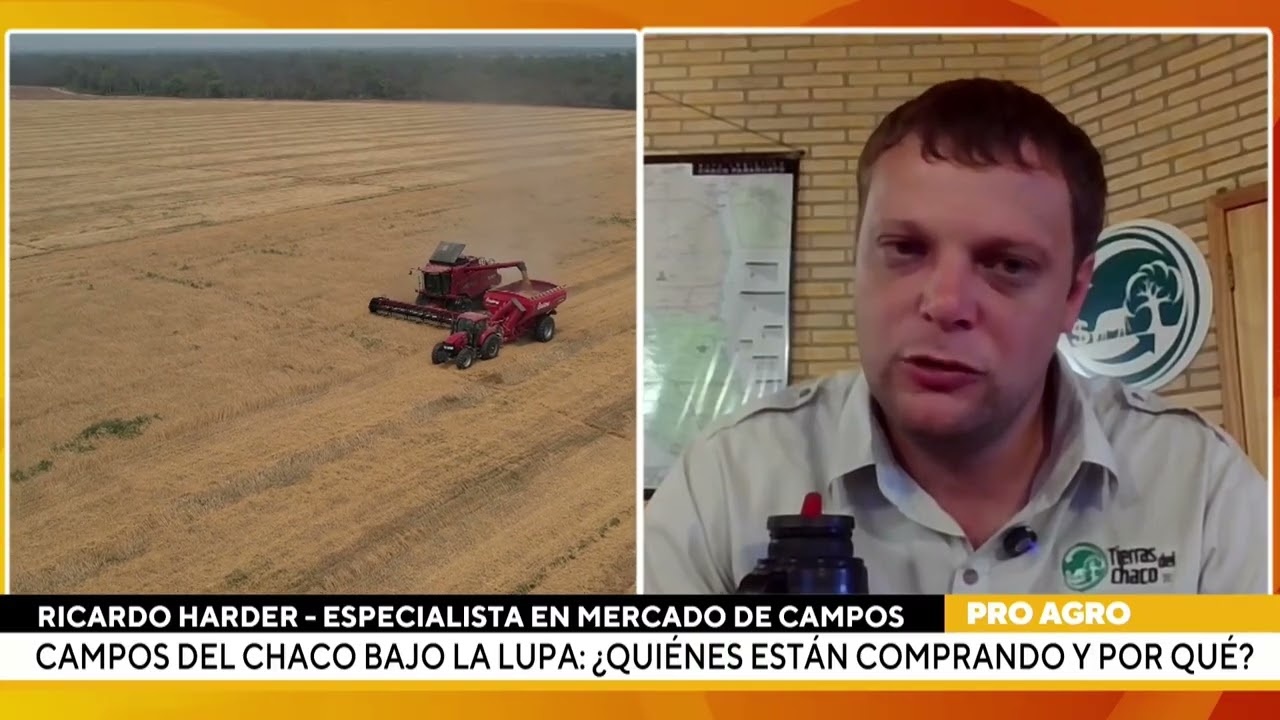 Campos del chaco bajo la lupa: ¿Quiénes están comprando y por qué?
