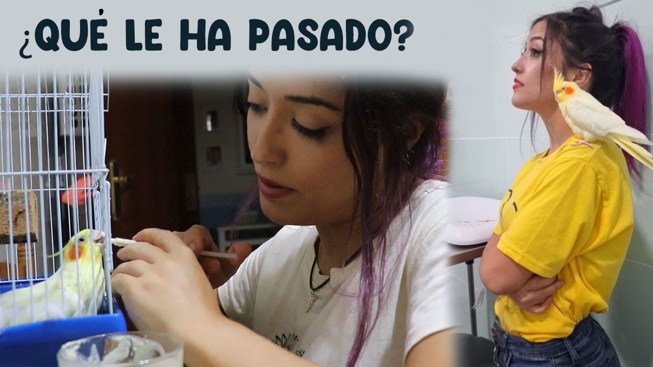 🏥¿Qué le ha pasado a Dracarys? | acabamos en el veterinario