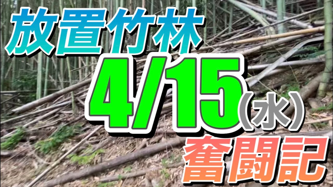 放置竹林奮闘記【早期退職者が竹を切る日々】2026/04/15