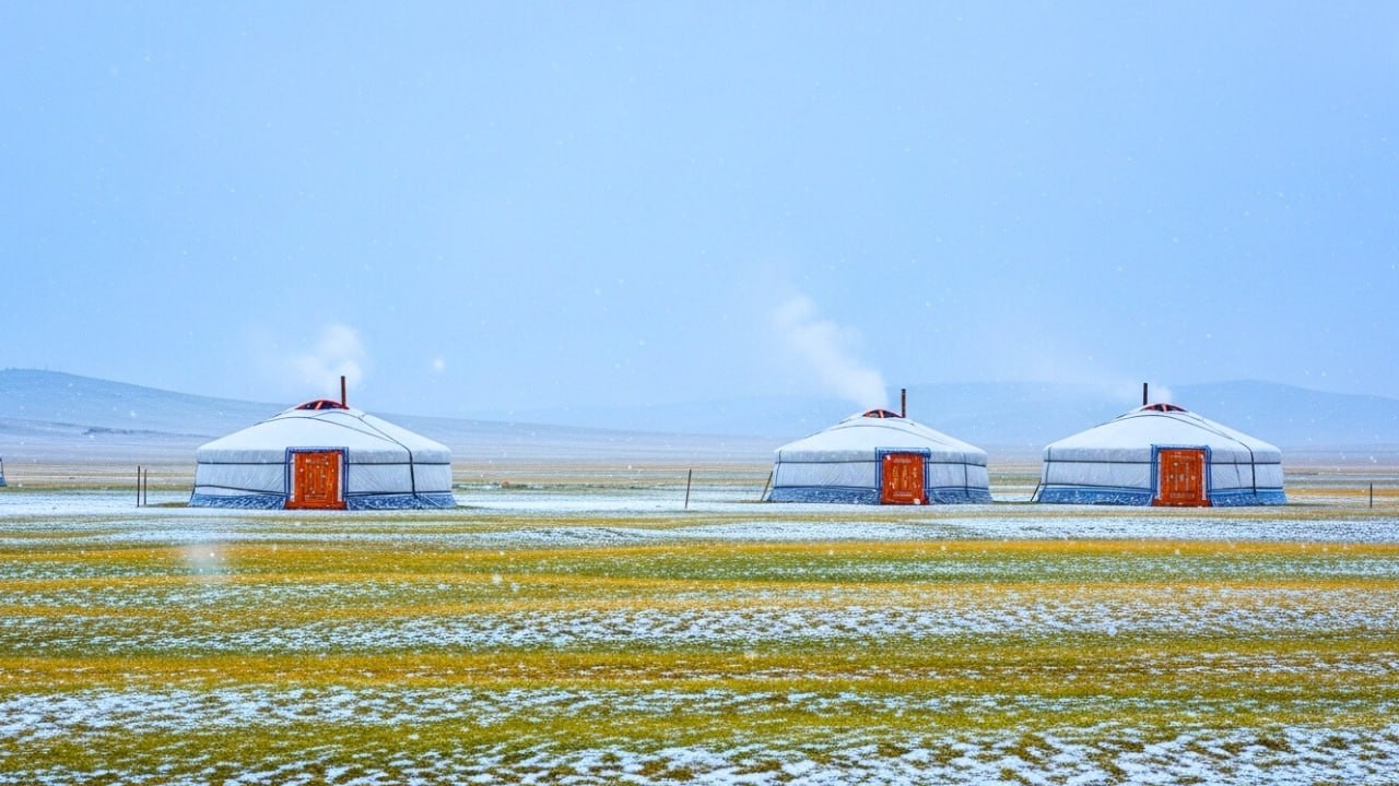 NOMAD LIFE  A Winter Day Cooking Stored Beef in a Mongolian Nomad Camp