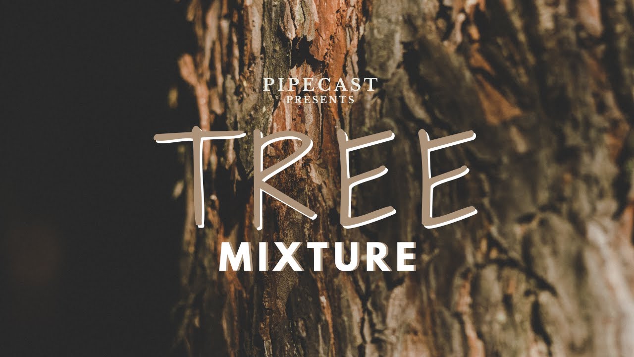 FILR: Robert Lewis Tree Mixture