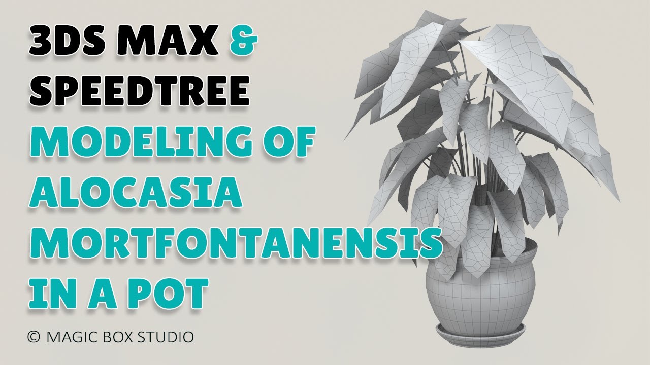 3ds max & speedtree modeling of alocasia mortfontanensis in a pot ǀ Part I